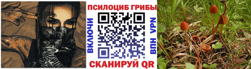 Галлюциногенные грибы MAGIC MUSHROOMS  где можно купить наркотик  Мценск 