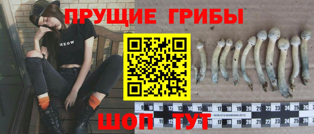 Псилоцибиновые грибы Magic Shrooms Мценск