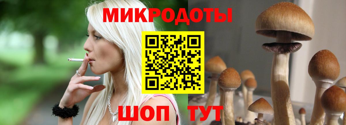 наркошоп  Вход с VPN  Мценск  Псилоцибиновые грибы Psilocybine cubensis 